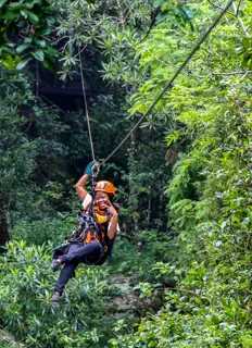 Aerial Cable Trail | Skyway Trials