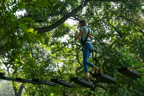 Rope Adventure Park | Skyway Trials