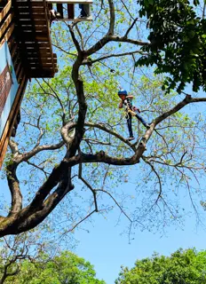 Tower Jump | Skyway Trials